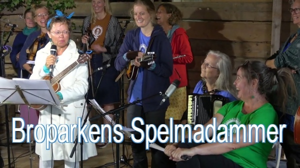 broparkens-spelmadammer00.jpg