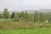 motkullarna2014.jpg