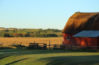 red-barn-on-a-farm.jpeg